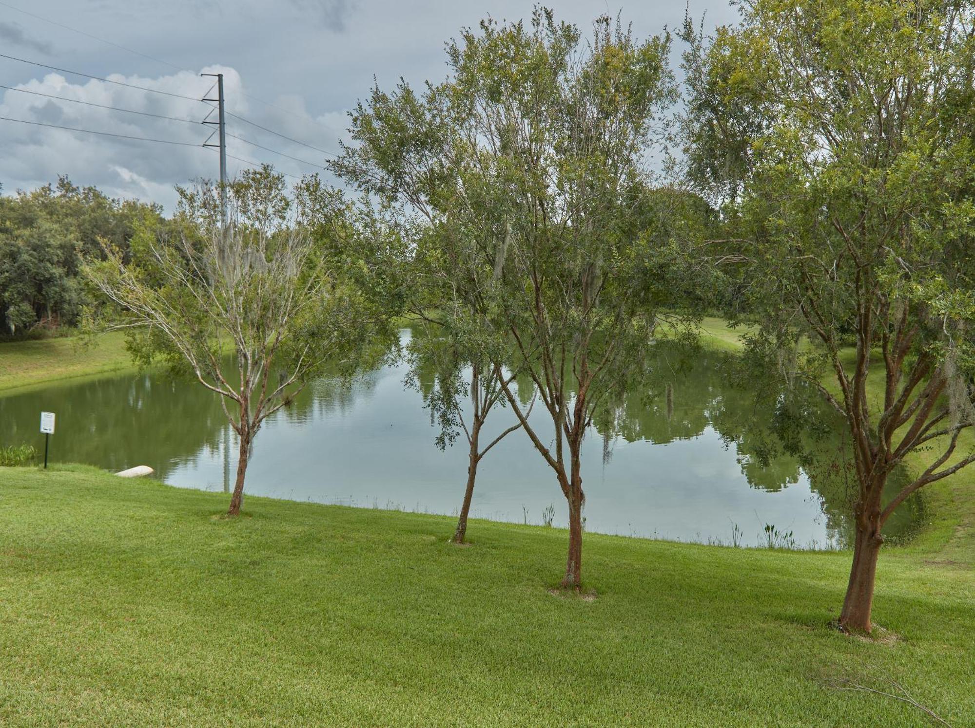 Spring Retreat Near Disney, Perfect For Families 키시미 객실 사진